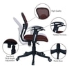 Aaeroa Low Back Ergonomic Chair in Brown Colour