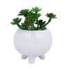 White 1 Pieces Succulent Artificial Plant With Pot