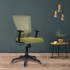 Ebeaony Mid Back Ergonomic Chair in Pearl Green Colour