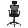 Dreaceo High Back Ergonomic Chair in Black Colour