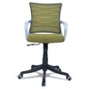 Xxeana Mid Back Ergonomic Chair in Pearl Green Colour