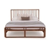 Calista Solid Wood Queen Size Non Storage Bed in Coffee Oak Brown