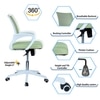Naamikoa Mid Back Ergonomic Chair in Pearl Green Colour