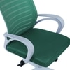 Mmarveal Mid Back Ergonomic Chair in Dark Green Colour