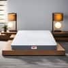 Rizewell Silky Soft with NPSS Tech Single Size Mattress (75 x 36 in, 10 Inches)