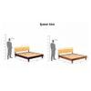 Charles Solid Wood Queen Size Non Storage Bed In Teak Finish