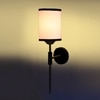 Devansh Metal Electric Wall Light in Black Colour with Multi Shade Count of 1 Light