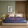 Sleepwell Champ Classic Ortho 5 inch Single Bonded Foam Mattress (L x W: 84 inch x 36 inch)