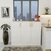 Spydercraft Accent Modern Cabinet in White Finish