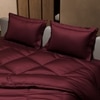 Stoa Paris Comforter Set Double Bed, 300TC Satin Double Bed Comforters in Velvet Wine