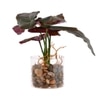 Transparent Glass Planter With Artificial Begonia Plant