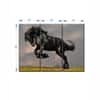 Truss Black Green Pieces Striking Friesian Stallion Canvas Wall Prints Set of 3 Multicolor Matte