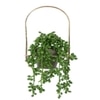 Arched Elegance Wall Planter