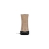 Zeke Beige Bamboo Shade Table Lamp with Black Iron Base