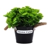 Artificial Green Eucalyptus Plant With A Rope Tied To Pot For Interior Decor