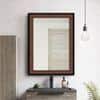 Decorative Mirror and Bathroom Mirror EL1812BMRREM0091
