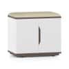 Baltoro Engineered Wood Shoe Rack with Seating in White Finish