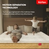 KURLON Supernova, 3 Zone Pocket Spring, Medium-Firm 6 inch Single High Density (HD) Foam Mattress (L x W: 78 inch x 30 inch)
