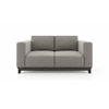 Taarkashi 2 Seater Fabric Sofa in Gainsboro Grey Colour