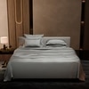 Stoa Paris Super King Size Bedsheet with 4 Pillow Covers  Size Harbour Mist Grey