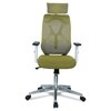 Wiweangs High Back Ergonomic Chair in Pearl Green Colour