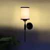 Devansh Metal Electric Wall Light in Black Colour with Multi Shade Count of 1 Light