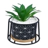 Highly Attractive Succulent Plant With A Geometric Patterned Ceramic Pot In A Stand