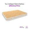 Pure Sleep Premium Orthopedic Pocket Spring Mattress