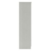 Ren 2 Door Engineered Wood Wardrobe in Silver Oak Finish
