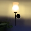 Devansh Metal Electric Wall Light in Black Colour with White Shade Count of 1 Light