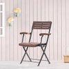 Masai Solid Wood Outdoor Arm Chair in Dark Teak Colour - Set of 1