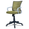 Xxeana Mid Back Ergonomic Chair in Pearl Green Colour
