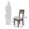 Arabia Xxl Solid Wood 8 Seater Dining Table With Set Of 8 Zella Chairs (Colour- Wheat Brown , Finish- Mahogany)