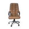 Adiko Modern Director Chair In Beige