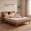 Kurlon Ortho Natural Grid Orthopedic Mattress Firm Queen Size 84x60x6 Inch
