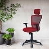 Dreaceo High Back Ergonomic Chair in Red Colour