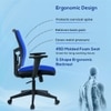 Ignis Mid Back Mesh Office Chair in Black Colour