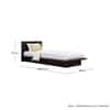 Hexa Engineered Wood Modern Single Bed With Headboard Without Storage In Flower Wenge