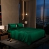Stoa Paris Double Bedsheet with 2 Pillow Covers sheet with Emerald Green