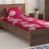 Sophia Bedsheets- Single