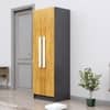 Hexa Red Wooden 2 Door Wardrobe with 4 Shelves in Slate Grey and Giant Wood Colour