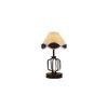 Cataleya Vintage Multicolor Shade Table lamp with Iron Base