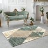 Haisley Green Abstract Natural Fiber 20x15 inches Carpet