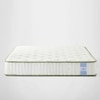 Supernova Orthopaedic Latex & Memory Foam Latex Mattress (75 x 36 in, 8 Inches)