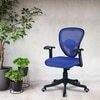 Aaeroa Low Back Ergonomic Chair in Black Colour