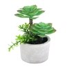 Artificial Succulent Indoor Plant With Ceramic Pot