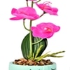 Artistic  Face Planter With Pink Artificial Orchids