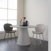 Scandinavian Navon Dining Chair White Matte Beige Finish