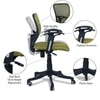 Odrione Low Back Ergonomic Chair in Pearl Green Colour