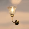 Devansh Metal Electric Wall Light in gold Colour with Transparent Shade Count of 1 Light